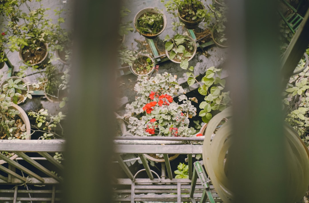 Waarom steeds meer Nederlanders hun tuin onttegelen